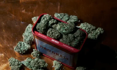 Father and child enjoying time together outdoors on a sunny day in a grassy field